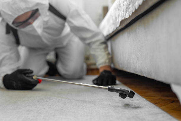 Professional Cockroach Control technician working in Lemoore Station, CA