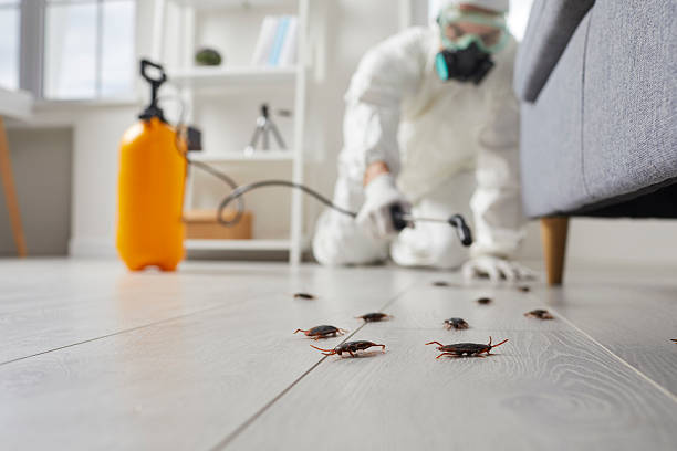Affordable Cockroach Control solutions in Lemoore Station, CA